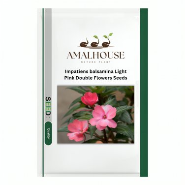 Impatiens balsamina Light Pink Double Flowers  - 50 PCS Seeds