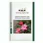 Impatiens balsamina Light Pink Double Flowers  - 50 PCS Seeds