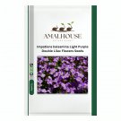 Impatiens balsamina Light Purple Double Lilac Flowers - 50 PCS Seeds