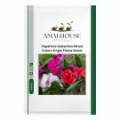 Impatiens balsamina Mixed Colors Single Petals - 50 PCS Seeds