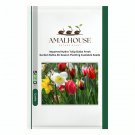 Imported Hydro Tulip Bulbs Fresh Garden Bulbs All Season Planting Available - 10 PCS Seeds