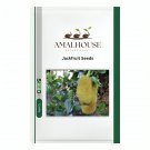 Jackfruit - 5 PCS Seeds
