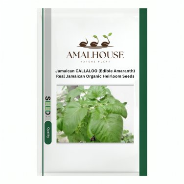 Jamaican CALLALOO (Edible Amaranth) Real Jamaican Organic Heirloom - 100 PCS Seeds