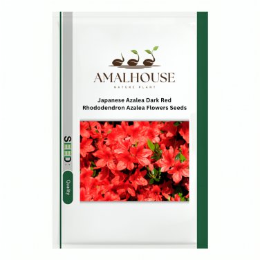 Japanese Azalea Dark Red Rhododendron Azalea Flowers - 100 PCS Seeds