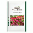 Japanese Coleus - 100 PCS Seeds