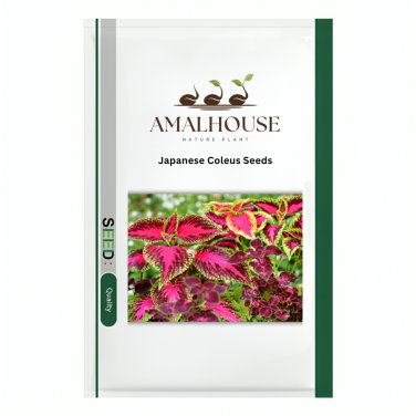 Japanese Coleus - 100 PCS Seeds