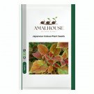 Japanese Coleus Plant - 100 PCS Seeds