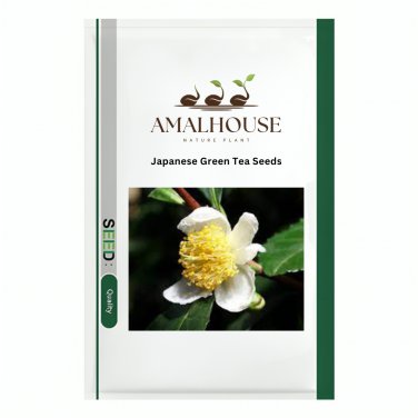 Japanese Green Tea - 100 PCS Seeds