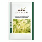 Japanese Hosta Milky White Ornamental Leaves - 200 PCS Seeds