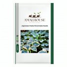 Japanese Hosta Perennials - 200 PCS Seeds