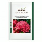 Japanese Hydrangea Flower Orange Flowers - 10 PCS Seeds