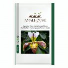 Japanese Plant Orchid Bonsai Flores World's Rare Orchid Species Flowers - 100 PCS Seeds
