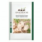 Jicama Pachyrhizus Erosus Organic Vegetables - 10 PCS Seeds