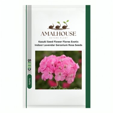 Kasuki Flower Flores Exotic Indoor Lavendar Geranium Rosa - 100 PCS Seeds