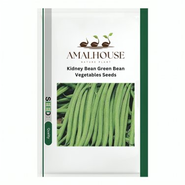 Kidney Bean Green Bean Vegetables - 10 PCS Seeds