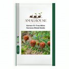 Korean Fir Tree Abies Koreana Mixed - 30 PCS Seeds