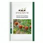 Korean Fir Tree Abies Koreana Mixed - 30 PCS Seeds