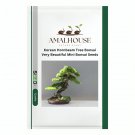 Korean Hornbeam Tree Bonsai Very Beautiful Mini Bonsai - 50 PCS Seeds