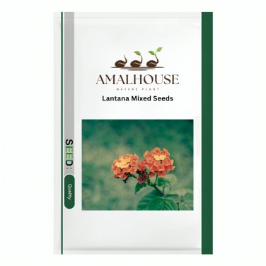 Lantana Mixed - 20 PCS Seeds