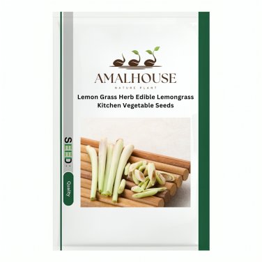 Lemon Grass Herb Edible Lemongrass Kitchen Vegetable - 400 PCS Seeds