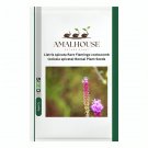 Liatris spicata Rare Flamingo cockscomb (celosia spicata) Bonsai Plant - 100 PCS Seeds
