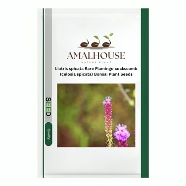 Liatris spicata Rare Flamingo cockscomb (celosia spicata) Bonsai Plant - 100 PCS Seeds