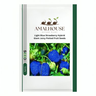 Light Blue Strawberry Hybrid Giant Juicy Potted Fruit - 300 PCS Seeds