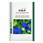 Light Blue Strawberry Hybrid Giant Juicy Potted Fruit - 300 PCS Seeds
