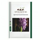 Light Purple Hyacinth Bulb - 1 PCS Seeds