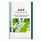 Lily of The Valley Flower Bonsai Bell Orchid Flower - 100 PCS Seeds