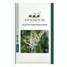 Lily of The Valley Flowers - 10 PCS Seeds