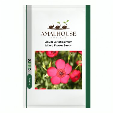 Linum usitatissimum Mixed Flower - 300 PCS Seeds