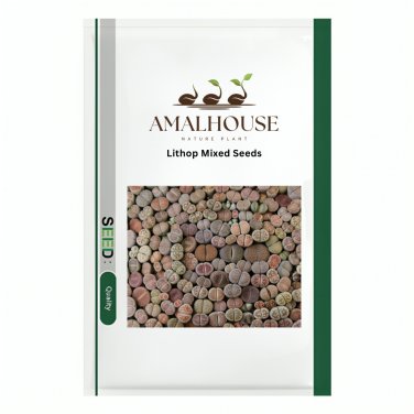 Lithop Mixed - 100 PCS Seeds