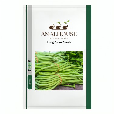 Long Bean - 20 PCS Seeds