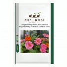 Long Flowering Period Bonsai Zinnias Elegans Widely Cultivated Common - 100 PCS Seeds