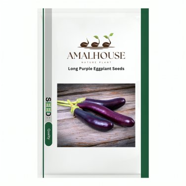 Long Purple Eggplant - 700 PCS Seeds