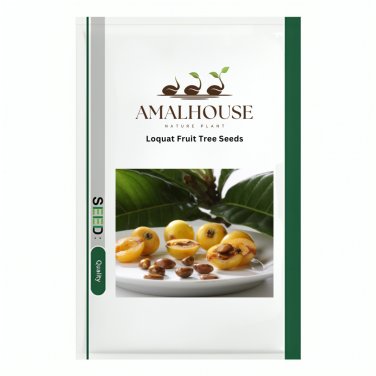 Loquat Fruit Tree - 10 PCS Seeds