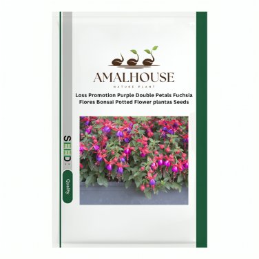 Purple Double Petals Fuchsia Flores Bonsai Potted Flower plantas - 100 PCS Seeds