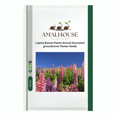 Lupine Bonsai Plants Annual Succulent groundcover Flower - 200 PCS Seeds