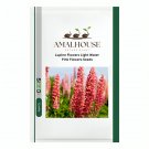 Lupine Flowers Light Water Pink Flowers - 100 PCS Seeds
