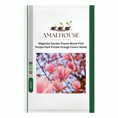 Magnolia Garden Plants Mixed Pink Purple Dark Purple Orange Colors - 100 PCS Seeds
