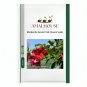 Mandevilla Sanderi Red Flowers - 100 PCS Seeds