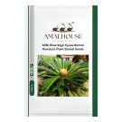 MiNI Blue Sago Cycas Bonsai Revolute Plant Bonsai - 10 PCS Seeds