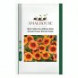 Mini Calibrchoa Million Bells Annual Flower Bonsai - 100 PCS Seeds