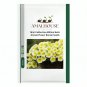 Mini Calibrchoa Million Bells Annual Flower Bonsai - 100 PCS Seeds