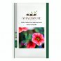 Mini Calibrchoa Million Bells Petunia - 100 PCS Seeds