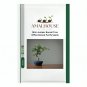 Mini Juniper Bonsai Tree Office Bonsai Purify - 50 PCS Seeds