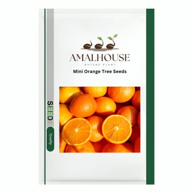 Mini Orange Tree - 30 PCS Seeds