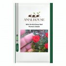 Mini Seed Orchid Rose Red Flowers - 100 PCS Seeds