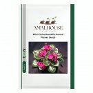 Mini Violet Beautiful Bonsai Flower - 100 PCS Seeds